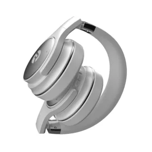 Raycon Everyday Over Ear