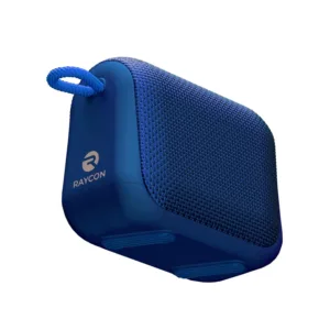 Raycon Everyday Speaker